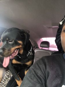 Goes by the name of Lady