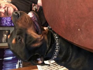 Please give me a home