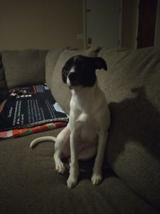 Finding her a new home