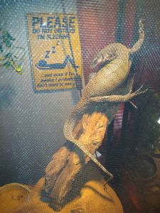 Peach throat monitor