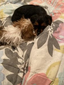 Loveable and Cute!!!!’