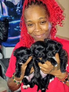 Need a good home for these puppies