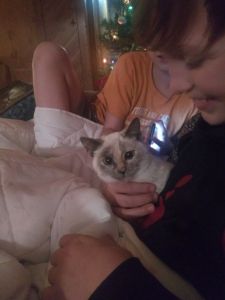 Princess needs her furever home!