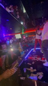 Husky male and female