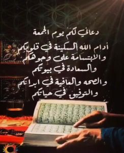 Sell the puppy Luna because i am travel