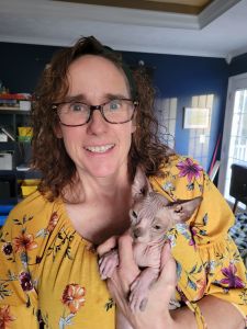 Sphynx kitten available