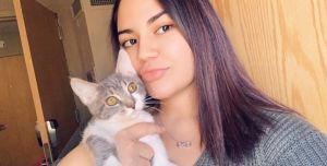 6 month old male tabby cat for sale