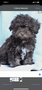 Looking for a loving family