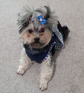 Sweet Lil Roxanne Is Ready For Your Family