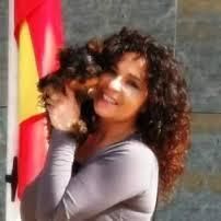 Healthy Yorkshire Terrier Puppies For Adoption