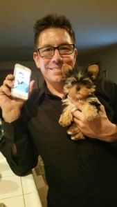 AKC registered Yorkie puppies text***