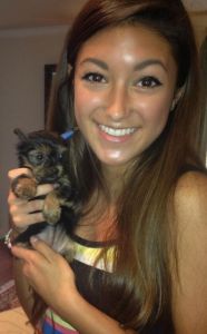 Yorkshire Terrier Puppy