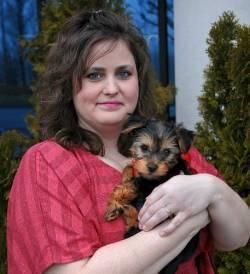 Male and Female Yorkie puppies Availabl