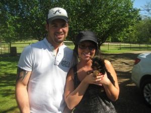 Little Yorkie Puppies