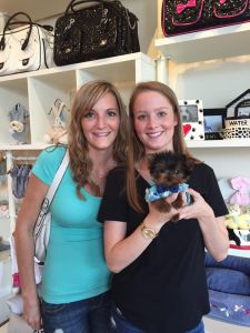 12 weeks old Yorkie puppies very playful, outgoing, and extremely cute