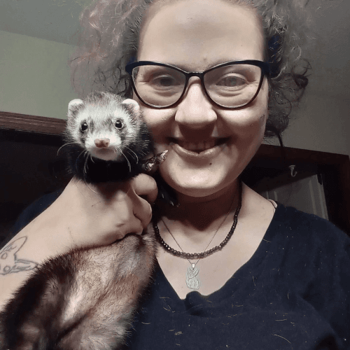 Ferrets and cage for sell