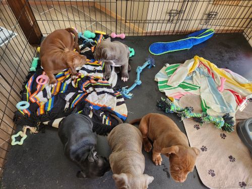 Check out these adorable babies