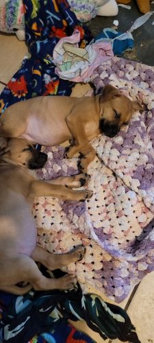 Ready for their forever home