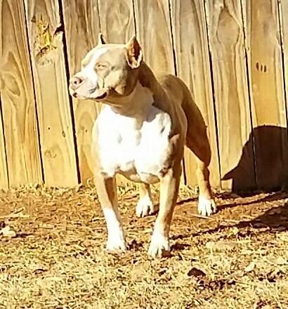 'PR' CHULO & Charlie