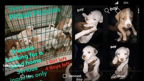 Looking for good home