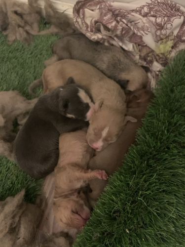 U can reach me at ***