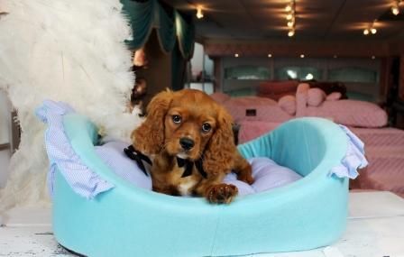 Come Visit Our Store