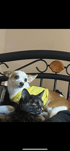 Her name is Luna and she’s 4