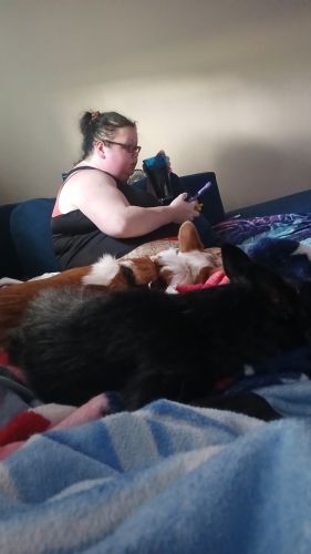 Rehoming due to car accident and cant take care of him anymore