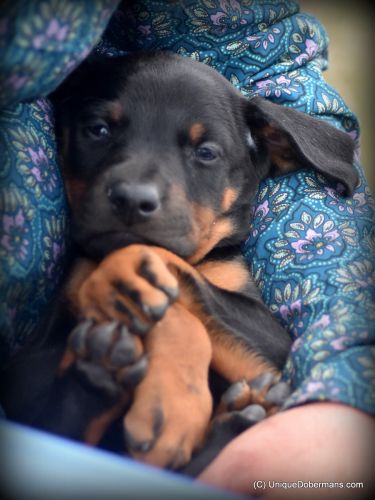 Special Discounted Price Call For Details