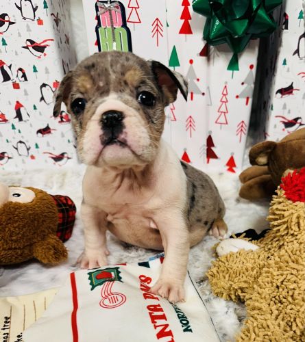 Spark Ready to go home