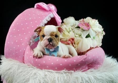 Gorgeous â€“ Financing Available!!