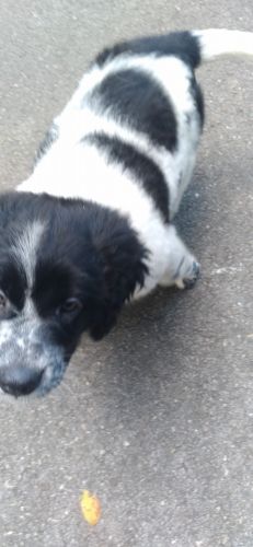 Polly is ready to kiss you!