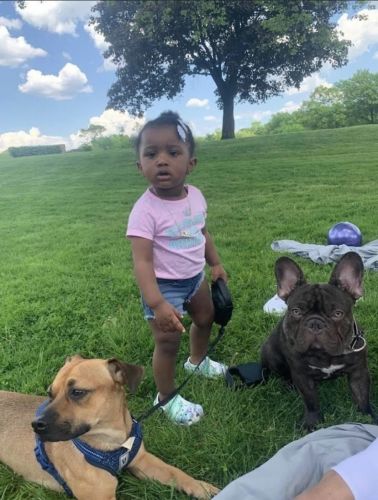 Wanna take home a frenchy?