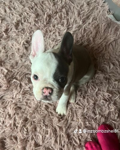 Looking for a new home