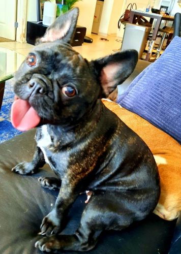 Looking for a good home