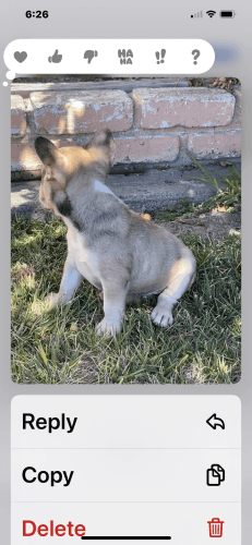 Platinum fluffy carrier