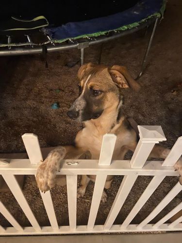 5 months name is Buhdda