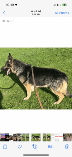 Looking to warm your heart