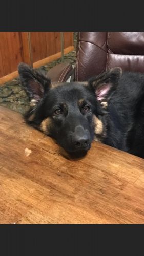 Have to sell today only