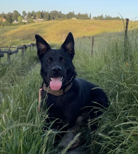 Jose Baby Boy (Adoption)