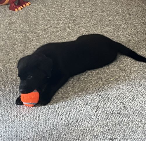 3 month old. Can’t keep her