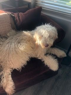 Cuddles and Kisses all day long!