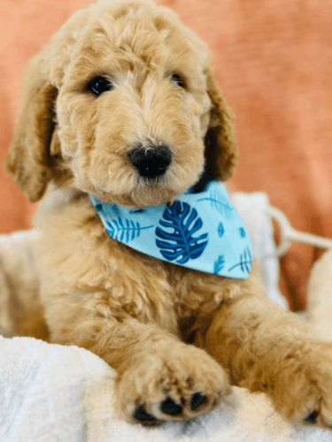 Mega SALE JUST IN MARCH