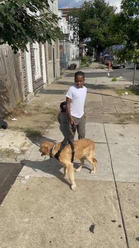 Looking for a new family for Shiloh