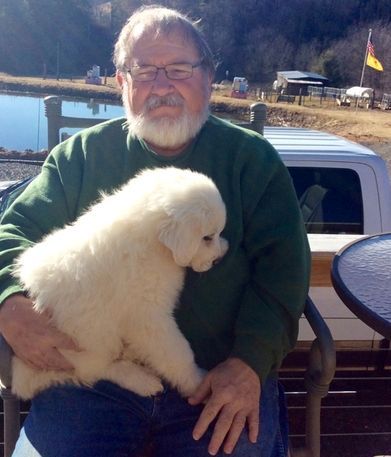 Great Pyrenees puppies