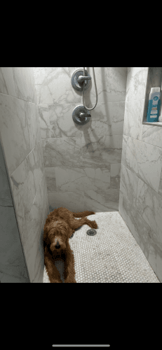 6 month old princess