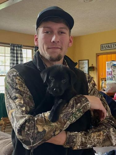 Labrador Retriever Puppies for sale in Charlotte, NC 28277, USA. price: NA