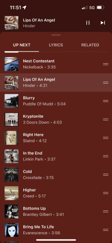 12 week old lab puppies need a good home