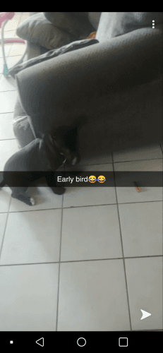 Can't afford to take care of her