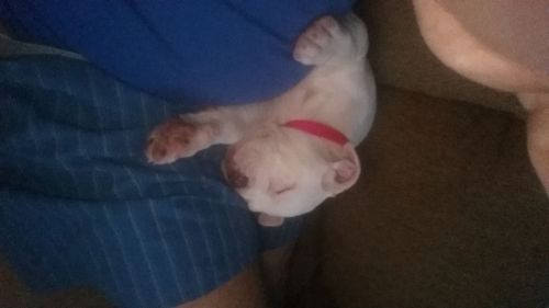 its a girl wonderfull